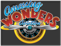 amazing_wonders_aviation_color_logo_download[1]