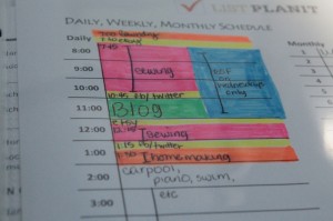 daily schedule